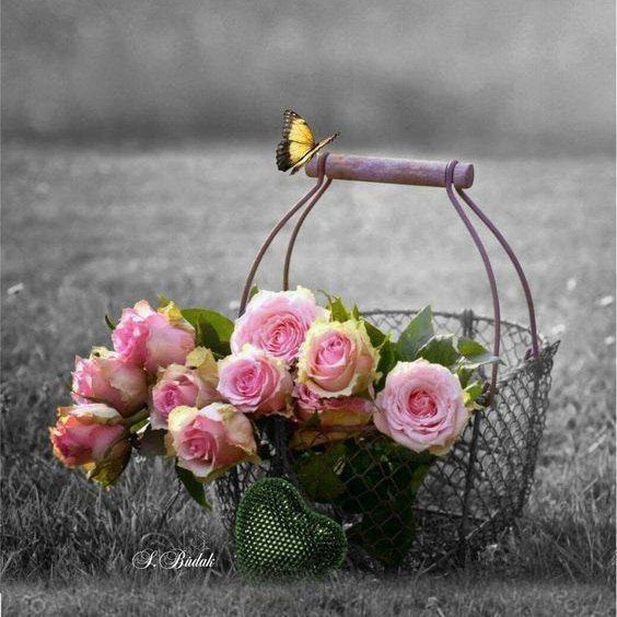 آهنگ جدید اینجا لاتی برنمیداره میری بهشت زهرا